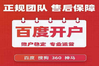 短视频平台的SEM推广实践与效果